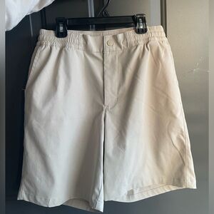 The North Face Men’s Standard Shorts